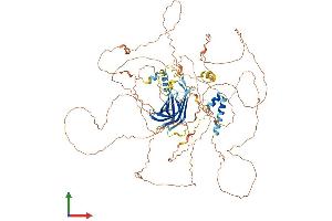 AlphaFold protein structure predicition of Mouse Recombinant Map10 Protein, UniprotID Q8BJS7 (MAP10 Protein (AA 1-891) (His tag))
