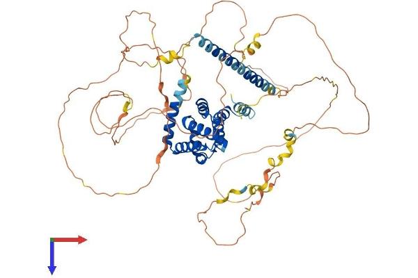 Epsin 2 Protein (EPN2) (AA 1-641) (His tag)