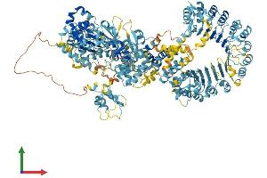 Protein Structure (PS) image for NLR Family, Apoptosis Inhibitory Protein (NAIP) (AA 1-1403) protein (His tag) (ABIN7565137)