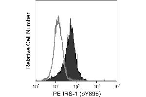 Flow Cytometry (FACS) image for anti-Insulin Receptor Substrate 1 (IRS1) (pTyr896) antibody (PE) (ABIN1177073)