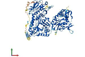 Protein Structure (PS) image for N-Deacetylase/N-Sulfotransferase (Heparan Glucosaminyl) 2 (NDST2) (AA 1-883) protein (His tag) (ABIN7563423)