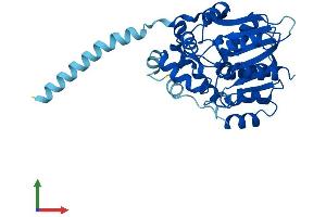 AlphaFold protein structure predicition of Mouse Recombinant Mest Protein, UniprotID Q07646