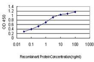 Detection limit for recombinant GST tagged RAB38 is approximately 0. (RAB38 抗体  (AA 115-211))