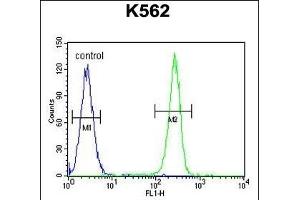 Flow Cytometry (FACS) image for anti-Olfactory Receptor, Family 52, Subfamily D, Member 1 (OR52D1) (AA 248-277), (C-Term) antibody (ABIN654851)