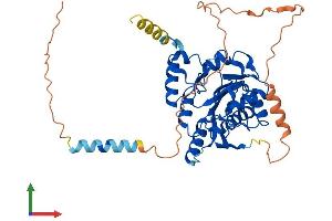 Protein Structure (PS) image for UDP-Gal:betaGlcNAc beta 1,3-Galactosyltransferase, Polypeptide 2 (B3GALT2) (AA 1-422) protein (His tag) (ABIN7562439)