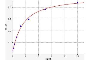 Typical standard curve (PCDHGA2 ELISA 试剂盒)