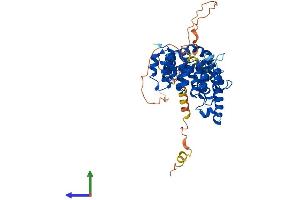 Protein Structure (PS) image for VPS33B Interacting Protein, Apical-Basolateral Polarity Regulator (VIPAR) (AA 1-493) protein (His tag) (ABIN7555550)