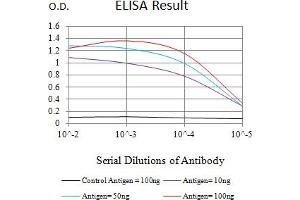 Black line: Control Antigen (100 ng),Purple line: Antigen (10 ng), Blue line: Antigen (50 ng), Red line:Antigen (100 ng) (Glypican 3 抗体  (AA 55-200))