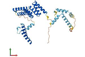 Protein Structure (PS) image for Small Glutamine-Rich Tetratricopeptide Repeat (TPR)-Containing, alpha (SGTA) (AA 1-313) protein (His tag) (ABIN7546083)