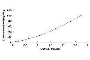 ELISA image for Cholecystokinin A Receptor (CCKAR) ELISA Kit (ABIN416020)