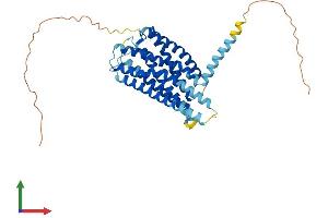Protein Structure (PS) image for G Protein-Coupled Receptor 34 (GPR34) (AA 1-375) protein (His tag) (ABIN7556216)
