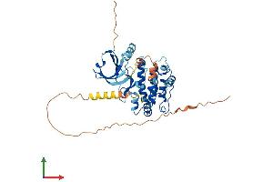 Protein Structure (PS) image for Calcium/calmodulin-Dependent Protein Kinase ID (CAMK1D) (AA 1-385) protein (His tag) (ABIN7564442)