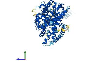 Protein Structure (PS) image for Cytochrome P450, Family 26, Subfamily A, Polypeptide 1 (CYP26A1) (AA 1-497) protein (His tag) (ABIN7562487)