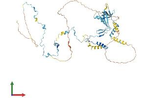 Protein Structure (PS) image for Paf1, RNA Polymerase II Associated Factor, Homolog (PAF1) (AA 1-535) protein (His tag) (ABIN7564638)