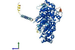 Protein Structure (PS) image for N-Deacetylase/N-Sulfotransferase (Heparan Glucosaminyl) 1 (NDST1) (AA 1-882) protein (His tag) (ABIN7563721)
