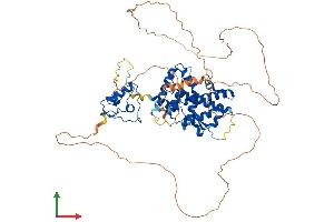 AlphaFold protein structure predicition of Mouse Recombinant Nr4a2 Protein, UniprotID Q06219