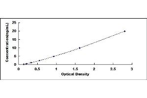 Typical standard curve (SLC6A8 ELISA 试剂盒)