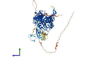 Protein Structure (PS) image for tRNA Methyltransferase 1 (TRMT1) (AA 1-659) protein (His tag) (ABIN7544687)