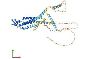 Protein Structure (PS) image for Gap Junction Protein, gamma 1, 45kDa (GJC1) (AA 1-396) protein (His tag) (ABIN7563040)