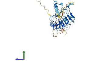 Protein Structure (PS) image for Leucine Rich Repeat Containing 18 (LRRC18) (AA 1-261) protein (His tag) (ABIN7549206)
