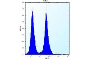 Flow Cytometry (FACS) image for anti-Olfactory Receptor, Family 11, Subfamily L, Member 1 (OR11L1) (AA 278-309), (C-Term) antibody (ABIN953827)