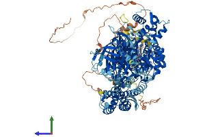 Protein Structure (PS) image for phospholipase C-Like 1 (PLCL1) (AA 1-1096) protein (His tag) (ABIN7563750)