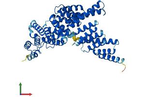AlphaFold protein structure predicition of Human Recombinant IFIT1B Protein, UniprotID Q5T764 (IFIT1B Protein (AA 1-474) (His tag))