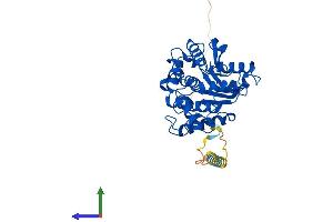 Protein Structure (PS) image for Glutaminyl-Peptide Cyclotransferase-Like (QPCTL) (AA 1-382) protein (His tag) (ABIN7551134)