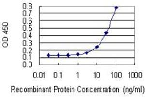 Detection limit for recombinant GST tagged RERE is 3 ng/ml as a capture antibody.