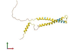Protein Structure (PS) image for OCIA Domain Containing 2 (OCIAD2) (AA 1-154) protein (His tag) (ABIN7550340)