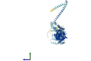 AlphaFold protein structure predicition of Mouse Recombinant Exoc3 Protein, UniprotID Q6KAR6