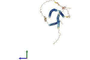 AlphaFold protein structure predicition of Mouse Recombinant Ccdc78 Protein, UniprotID D3Z5T1