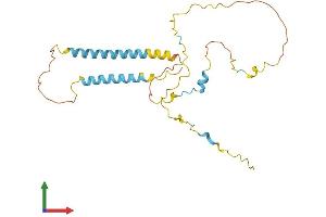 AlphaFold protein structure predicition of Mouse Recombinant Tmem51 Protein, UniprotID Q99LG1