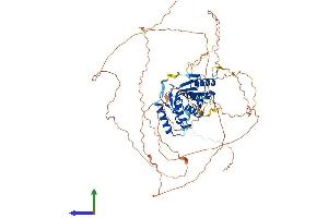 Protein Structure (PS) image for CDKN2A Interacting Protein (CDKN2AIP) (AA 1-689) protein (His tag) (ABIN7559923)