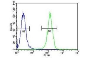 XRCC6 antibody flow cytometric analysis of A2058 cells (green) compared to a negative control (blue).