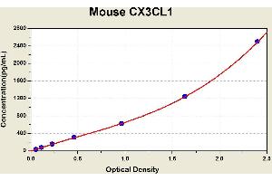 Diagramm of the ELISA kit to detect Mouse CX3CL1with the optical density on the x-axis and the concentration on the y-axis.