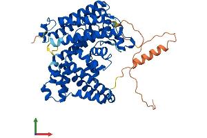 Protein Structure (PS) image for Membrane Bound O-Acyltransferase Domain Containing 2 (MBOAT2) (AA 1-519) protein (His tag) (ABIN7564700)
