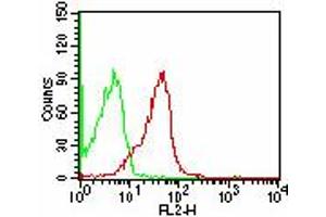 Image no. 1 for anti-CD47 (CD47) antibody (ABIN961100) (CD47 抗体)