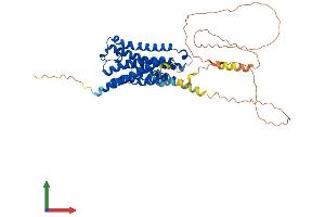 Protein Structure (PS) image for Cholinergic Receptor, Muscarinic 2 (CHRM2) (AA 1-466) protein (His tag) (ABIN7561452)