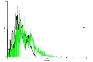 FACS analysis of negative control 293 cells (Black) and ADRB3 expressing 293 cells (Green) using ADRB3 purified MaxPab mouse polyclonal antibody. (ADRB3 抗体  (AA 1-408))