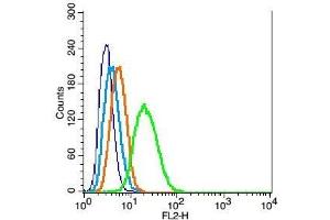 RSC96 probed with Mfn1 Polyclonal Antibody, Unconjugated  at 1:100 for 30 minutes followed by incubation with a conjugated secondary (PE Conjugated) (green) for 30 minutes compared to control cells (blue), secondary only (light blue) and isotype control (orange).