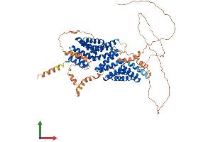 Protein Structure (PS) image for G-Protein Signaling Modulator 2 (GPSM2) (AA 1-684) protein (His tag) (ABIN7554030)