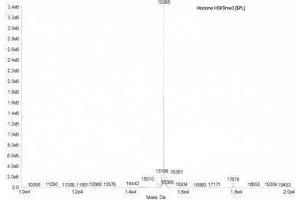 Mass Spectrometry (MS) image for Histone 3 (H3) (H3K9me3) protein (ABIN2669567) (Histone 3 Protein (H3) (H3K9me3))