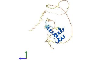 Protein Structure (PS) image for Homeobox B7 (HOXB7) (AA 1-217) protein (His tag) (ABIN7548358)