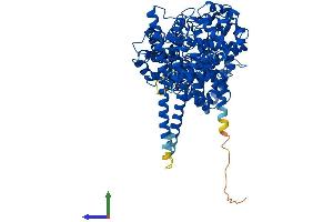 Protein Structure (PS) image for Nuclear Cap Binding Protein Subunit 1, 80kDa (NCBP1) (AA 1-790) protein (His tag) (ABIN7554699)