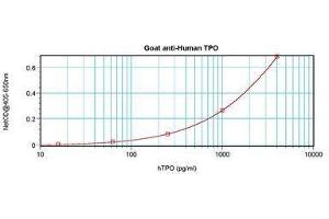 Image no. 3 for anti-Thrombopoietin (THPO) antibody (ABIN465842) (Thrombopoietin 抗体)