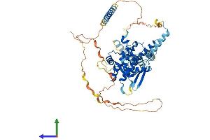 AlphaFold protein structure predicition of Human Recombinant CDT1 Protein, UniprotID Q9H211
