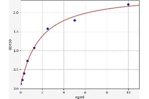 Typical standard curve (Metabotropic Glutamate Receptor 5 ELISA 试剂盒)