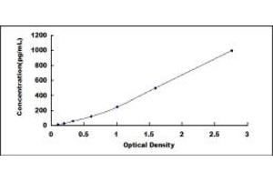 Typical standard curve (BMP2 ELISA 试剂盒)