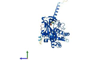 Protein Structure (PS) image for Fukutin (FKTN) (AA 1-461) protein (His tag) (ABIN7553931)